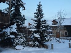IMG_5967.JPG